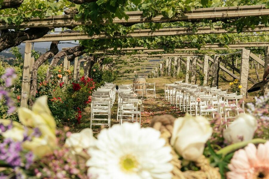 Granbazán Winery: Guided Tour and Wine Tasting - Who will enjoy this winery tour most