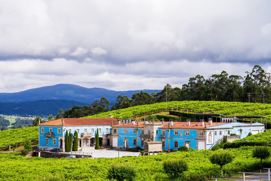 Granbazán Winery: Guided Tour and Wine Tasting - Walking through Granbazán’s vineyards