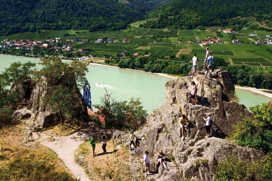 Grape Grazing: Wachau Valley Winery Biking Tour - Wine tasting with local producers