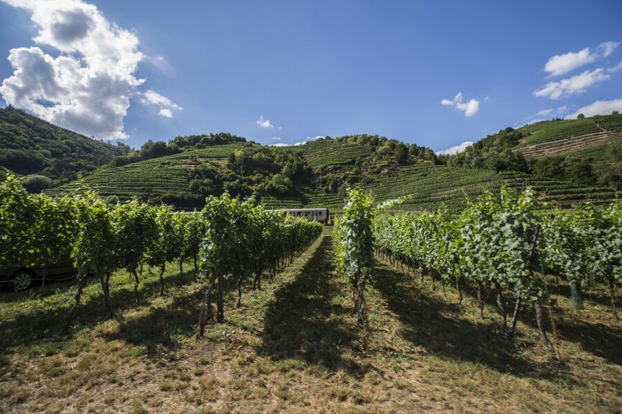 Grape Grazing: Wachau Valley Winery Biking Tour - Leaving Vienna by train for Krems