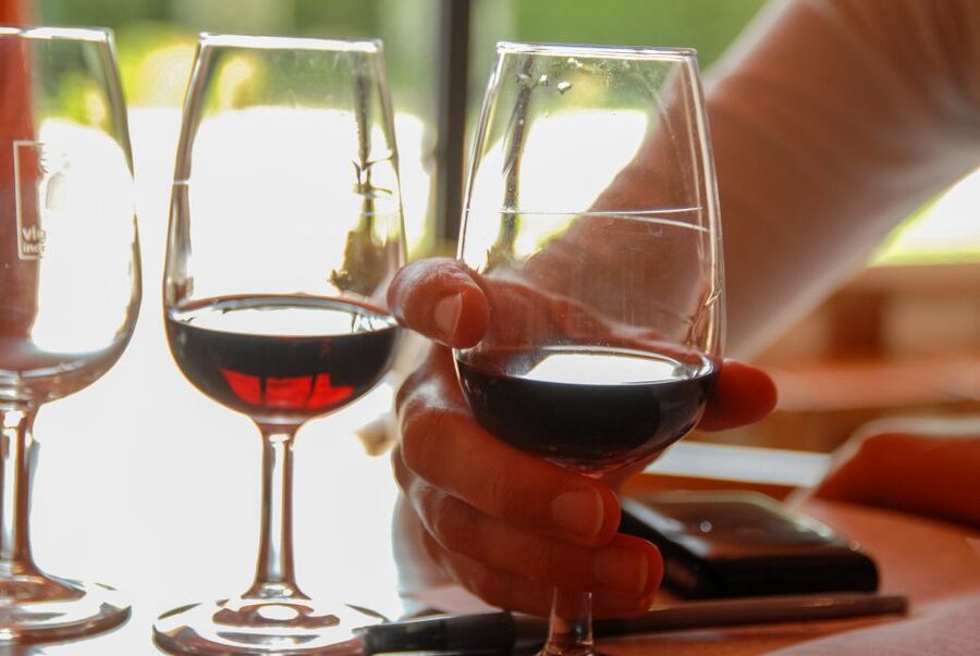 Grasse, Valbonne & Gourdon: Day Tour with Wine Tasting - Bellet wine above Nice