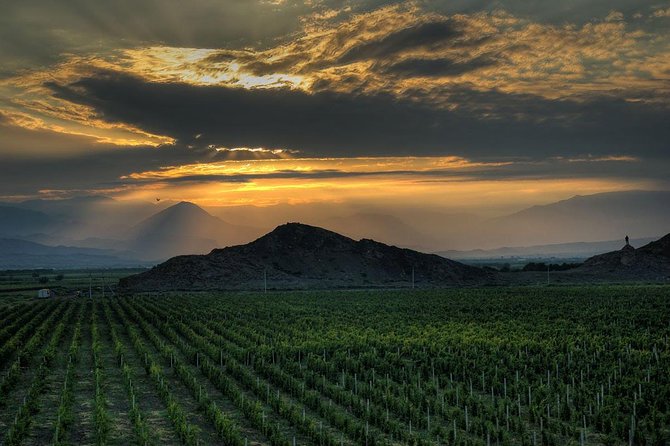 Group tour: Khor Virap, Noravank, Areni Winery and Cave - Hin Areni Winery and Armenia’s wine country