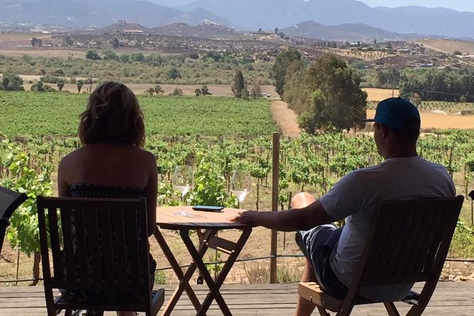 Guadalupe Valley Wine Route Tour in Baja California - What your guide adds to the day