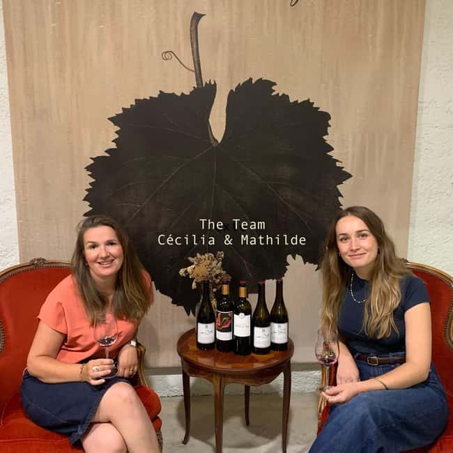 Guided Bordeaux Wine Tasting Class with 6 Wines and pairings - Why the aroma game is worth your time