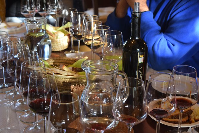 Guided Wine and Olive oil tasting - What happens during the one-hour visit