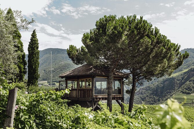 Guided winery tour with tasting in Bolzano at the SKYWINE PAVILLON - Key points at a glance