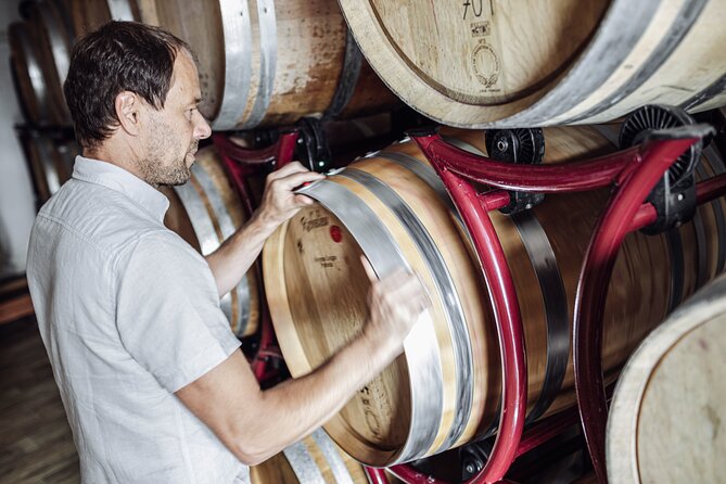 Guided winery tour with tasting in Bolzano at the SKYWINE PAVILLON - What the $45.86 price delivers
