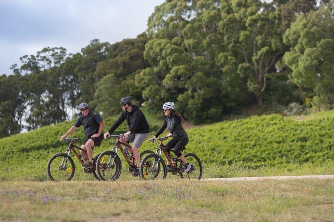 Hahndorf food and wine E-Bike Tour - Why this Adelaide Hills ride works so well