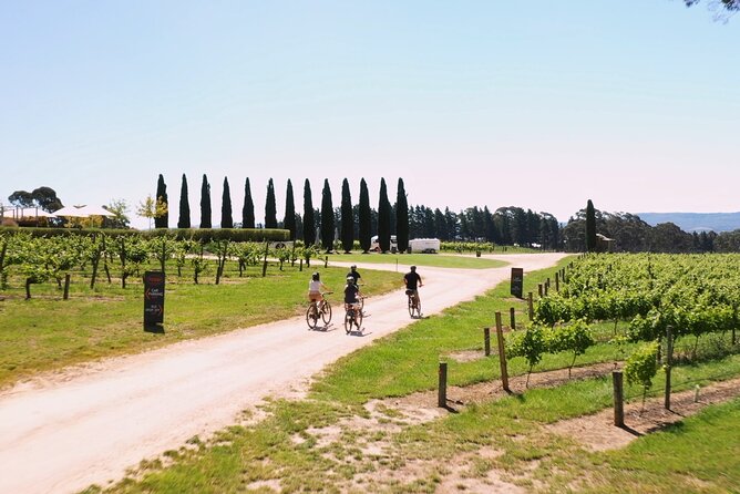 Hahndorf food and wine E-Bike Tour - Udder Delights for cheese, bread, and quince paste