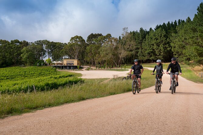 Hahndorf food and wine E-Bike Tour - Shaw and Smith’s five-wine flight
