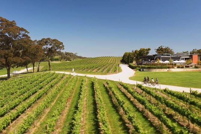 Hahndorf food and wine E-Bike Tour - How demanding is the cycling?