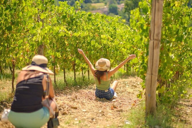 Half day Chianti Vineyard Escape from Florence with Wine Tastings - At a glance: what this Chianti trip delivers