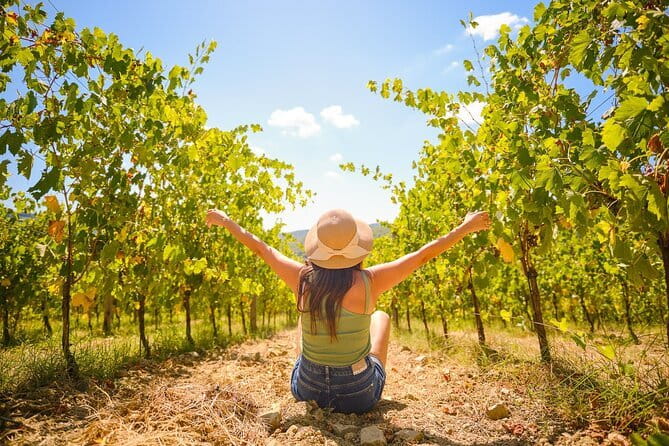 Half day Chianti Vineyard Escape from Florence with Wine Tastings - First estate: wine, food, and a look behind the bottles
