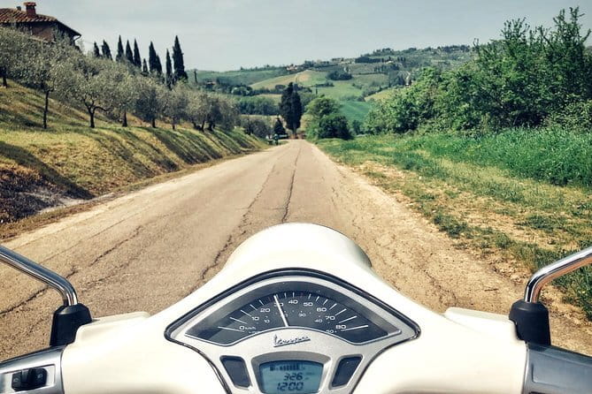 Half day Chianti Vineyard Escape from Florence with Wine Tastings - Second estate: a different view of Chianti wine