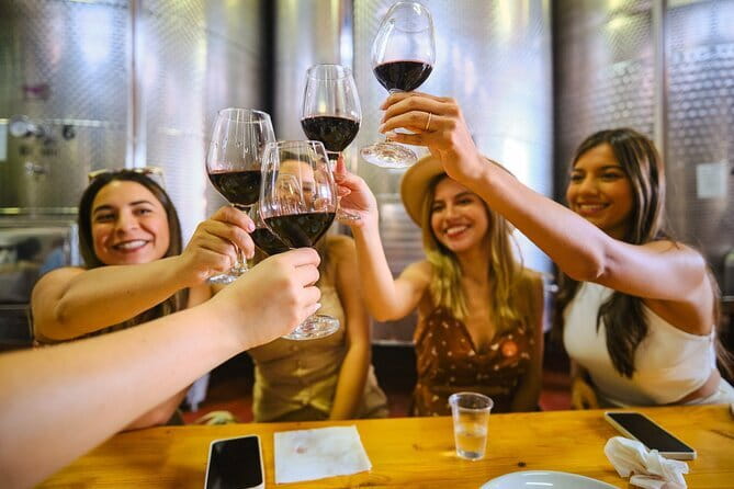 Half day Chianti Vineyard Escape from Florence with Wine Tastings - Who will enjoy this half-day outing