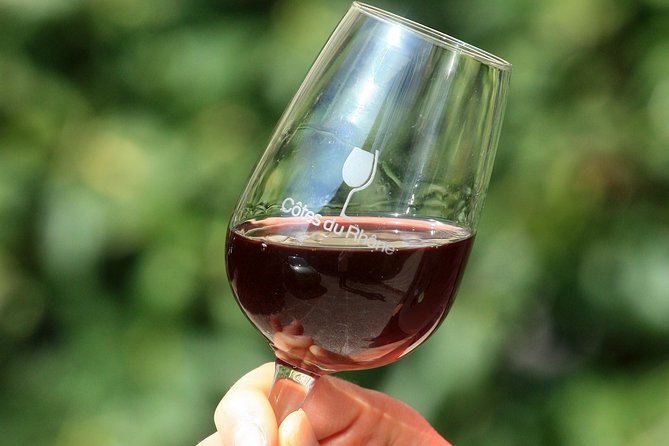 Half Day Great Vineyard Tour from Avignon - What the wine tastings are really like