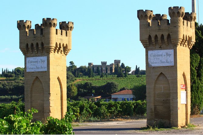 Half Day Great Vineyard Tour from Avignon - The guides shape the day