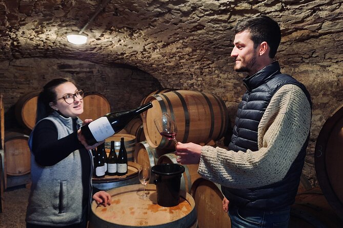 Half-day guided tour on the Burgundy wine Route in a classic car - What the guides add to the experience