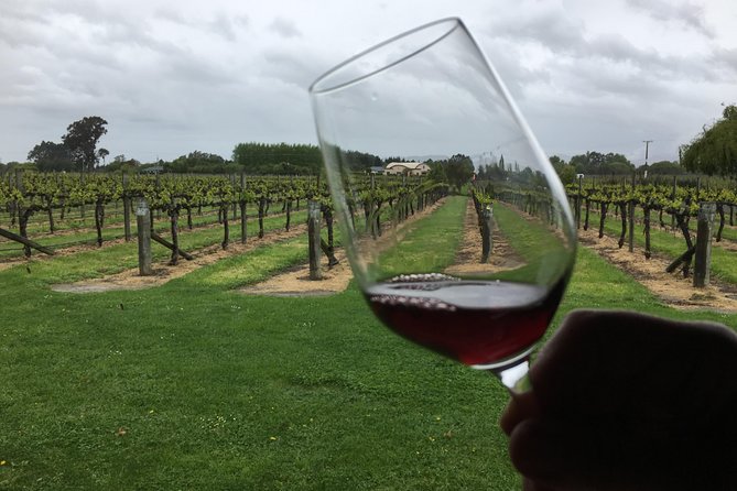 Half-Day Marlborough Wine Tour & Beer Tour - Framingham Wines for a focused tasting