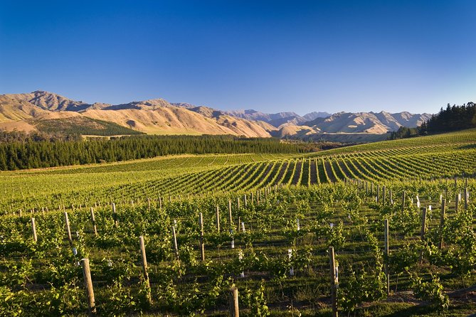 Half-Day Marlborough Wine Tour & Beer Tour - Hunter’s Wines and outdoor tasting space