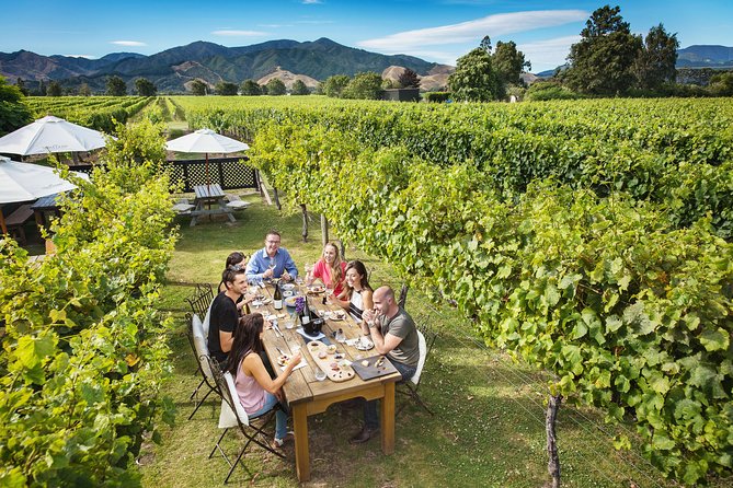 Half-Day Marlborough Wine Tour & Beer Tour - Pickup limits and timing you should know