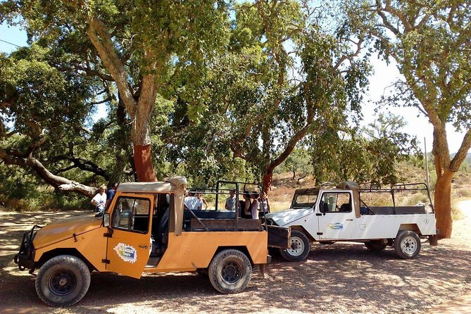 Half Day Safari Tour with Wine Tasting - Why this four-hour outing is different from a standard Algarve tour