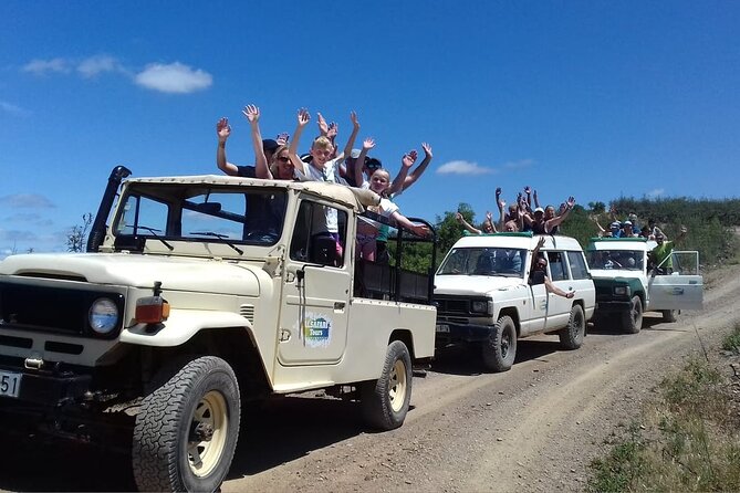 Half Day Safari Tour with Wine Tasting - How the price compares with doing it yourself
