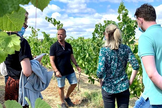 Half Day Safari Tour with Wine Tasting - Booking details worth getting right