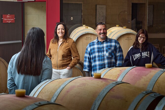 Half day tour Saint-Emilion : Village & Château with wine tasting - Who should book this experience?