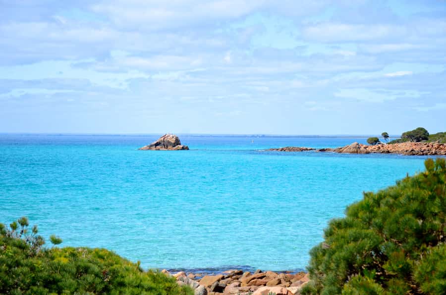 Half day Wine and Sights Discovery Tour Busselton - A smart introduction to Margaret River’s two sides