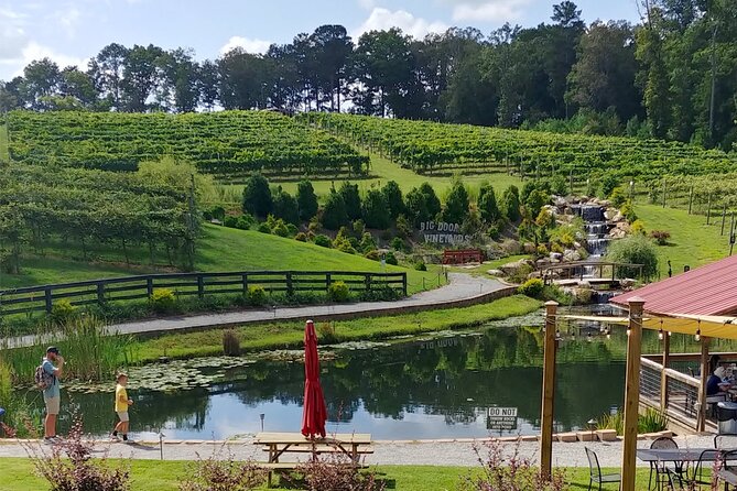 Half-Day Wine Tastings in the North Georgia Mountains - What the wine education is really like