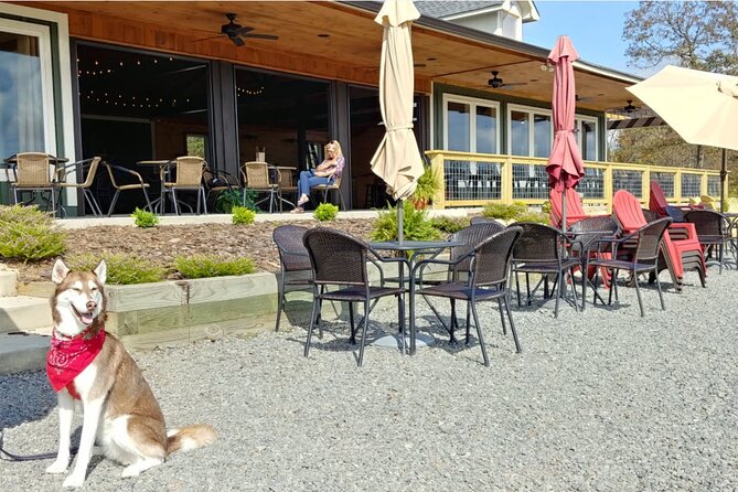 Half-Day Wine Tastings in the North Georgia Mountains - Is $114.99 a fair price?
