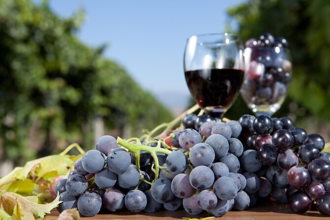 Half-Day Wine Tastings in the North Georgia Mountains - The practical rhythm of the afternoon