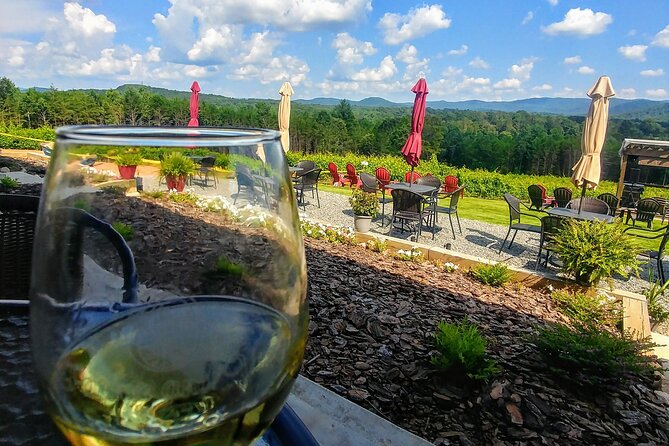 Half-Day Wine Tastings in the North Georgia Mountains - Who will enjoy this outing most?