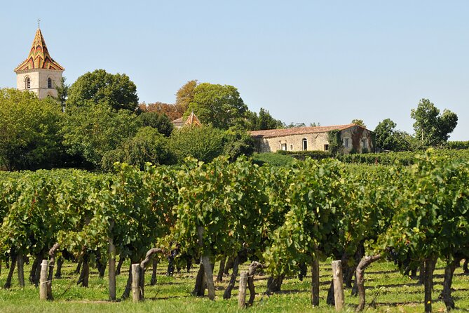 Half-Day Wine tour across Bordeaux’s Vineyards - What the wine tasting is really like