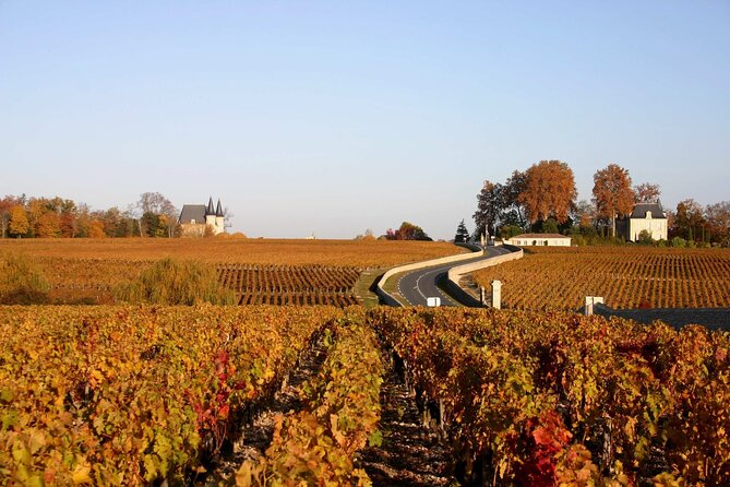 Half-Day Wine tour across Bordeaux’s Vineyards - Who will enjoy this afternoon most?