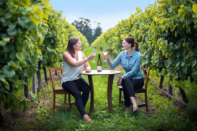 Half-Day Wine Tour from Blenheim - Three or four wineries, with room for variety