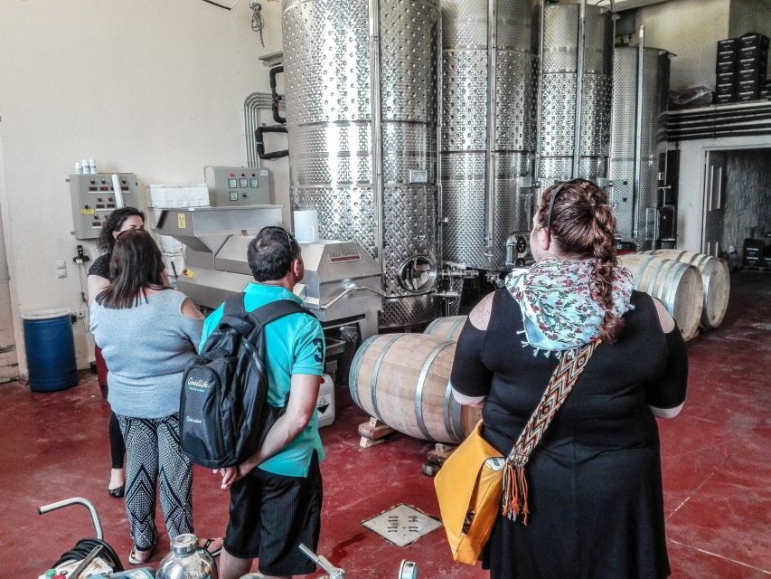 Heraklion: Cretan Wine Tasting Tour & Gourmet Lunch - Who should book this day?