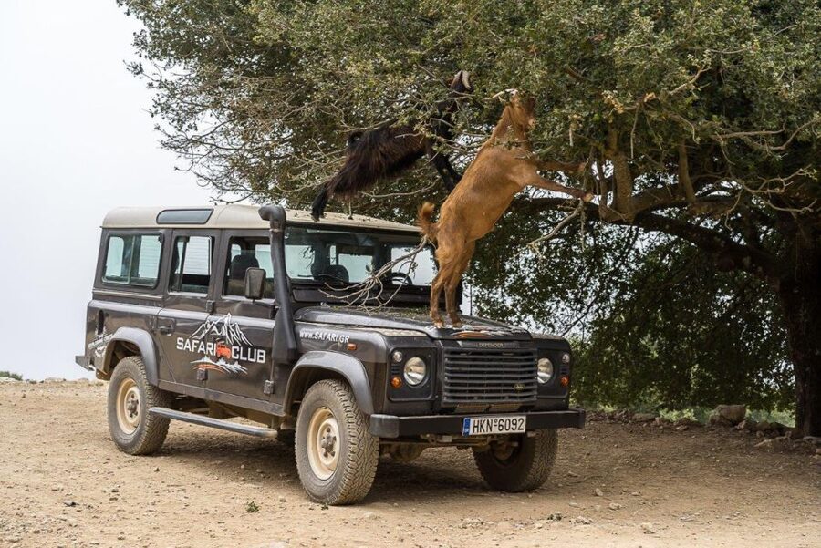 Heraklion: Sunset Safari with Dinner & Prosecco - What the $100 price really covers