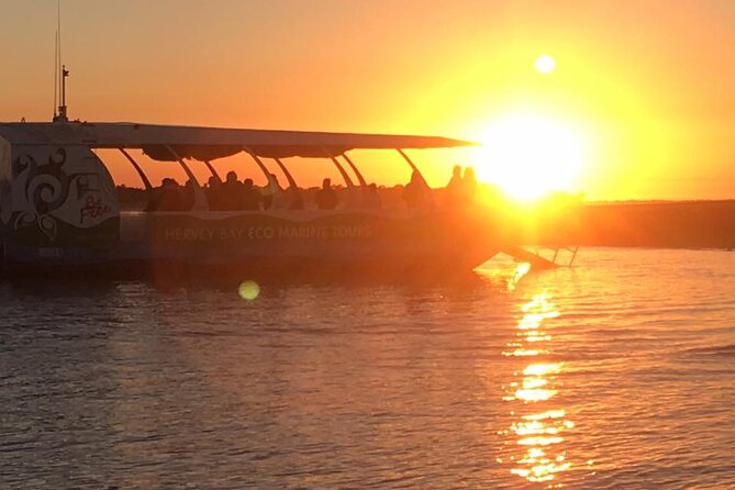 Hervey Bay Champagne Sunset Sail - Dolphins, turtles and the calm water
