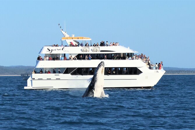 Hervey Bay Champagne Sunset Sail - Who will enjoy this Blue Dolphin cruise