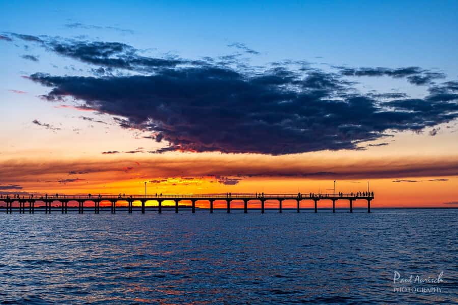Hervey Bay: Relaxing Sunset Cruise with Champagne and Prawns - Key points to know before you book
