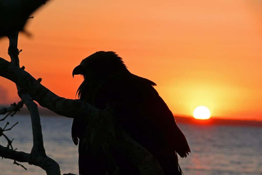 Hervey Bay: Relaxing Sunset Cruise with Champagne and Prawns - Why this short cruise works so well at sunset