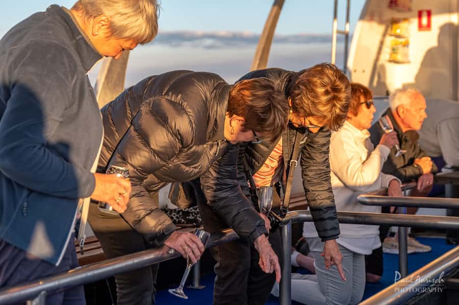 Hervey Bay: Relaxing Sunset Cruise with Champagne and Prawns - Prawns, grazing food, and your first drink