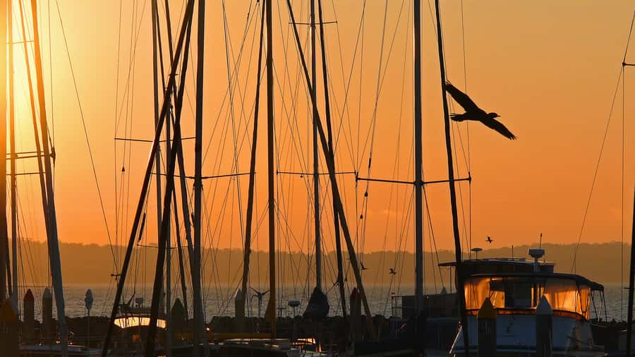Hervey Bay: Relaxing Sunset Cruise with Champagne and Prawns - Urangan Pier and the changing Great Sandy Straits