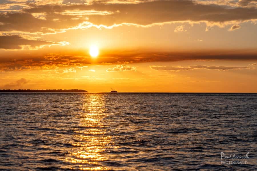 Hervey Bay: Relaxing Sunset Cruise with Champagne and Prawns - Glass panels, coral, and the limits of nature