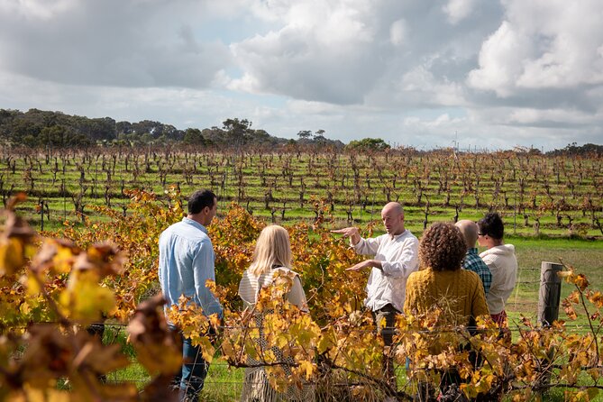 Hidden Gems: Boutique Full-Day Wine, Farm & Lunch Tour - Morning at the farm with alpacas and emus