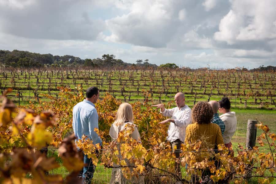 Hidden Gems Margaret River: Authentic Wine & Farm Experience - A seven-hour introduction to Margaret River