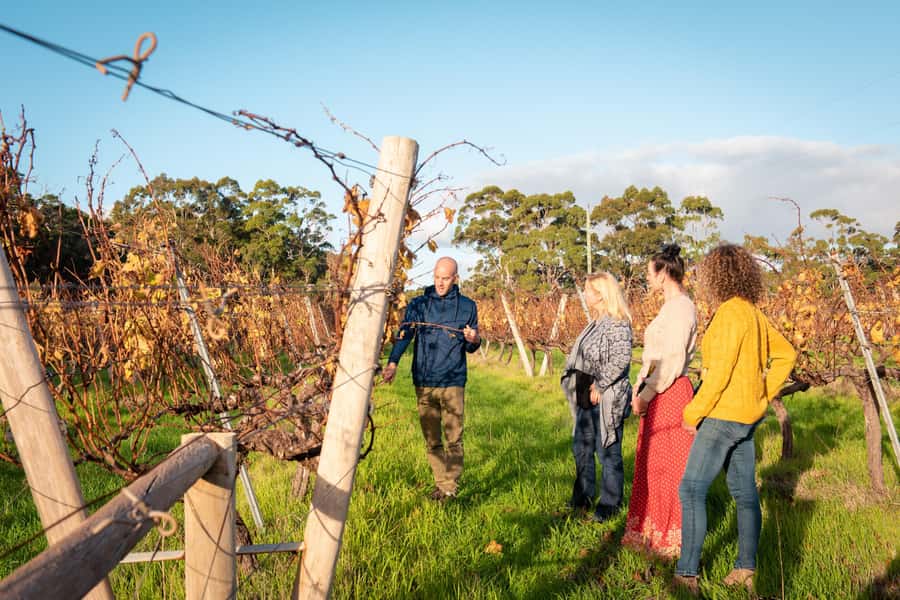 Hidden Gems Margaret River: Authentic Wine & Farm Experience - Why the guides matter