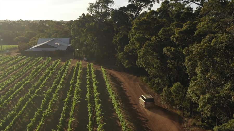 Hidden Gems Margaret River: Authentic Wine & Farm Experience - How the $145 price holds up
